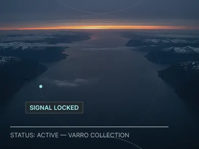 Varro intelligence banner visual